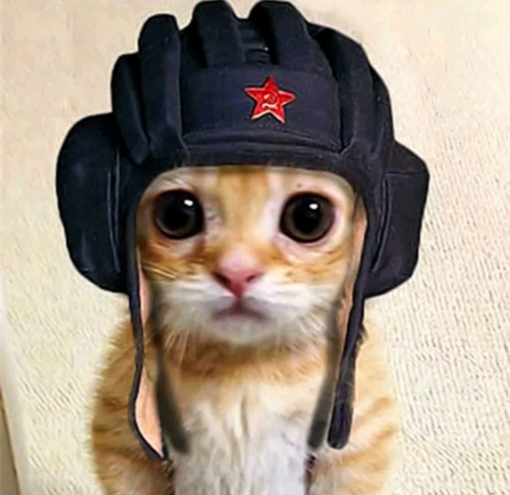 Печенка смотреть онлайн