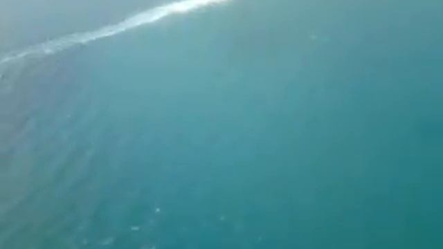 Турко против Анзора.mp4 смотреть онлайн