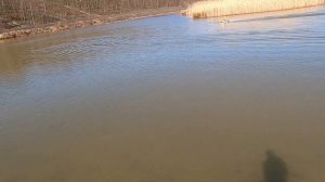 VOLANTEX VECTOR SR80. HOW FAST IS IT ?