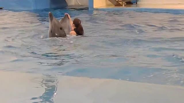 ВАЛЬС ДЕЛЬФИНОВ смотреть онлайн