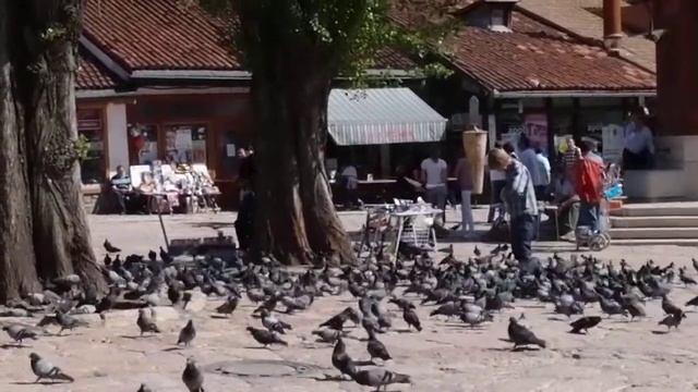 Olympus XZ-1 HD video sample смотреть онлайн