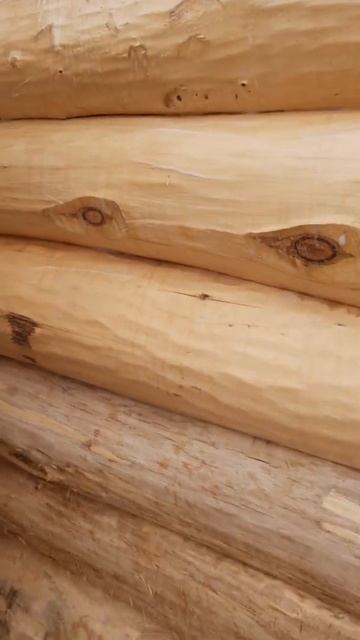 Урожайный рай: цветы и фермерские угодья