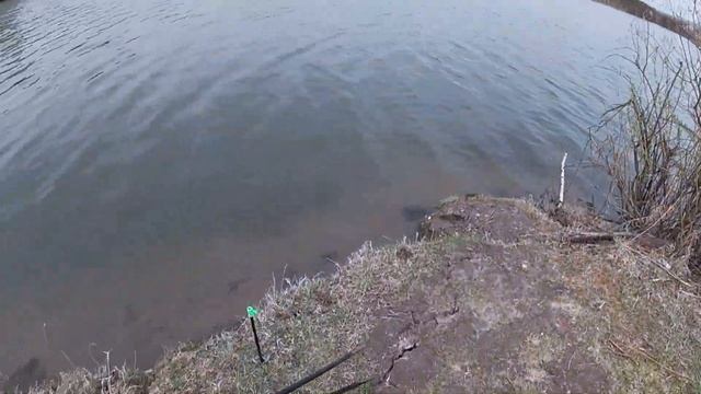 НА НАШЕМ ЛЮБИМОМ ОЗЕРЕ СОШЁЛ ЛЁД!!! смотреть онлайн