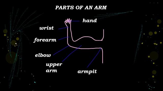 11. VISUAL DICTIONARY: ARM смотреть онлайн