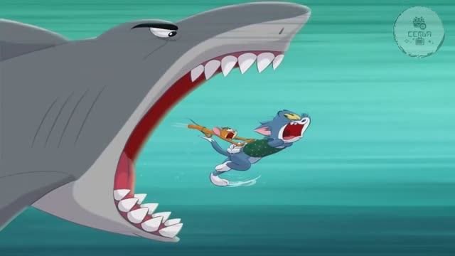 Том и Джерри ФАЛЛ ЭПИЗОДЕС смотреть онлайн