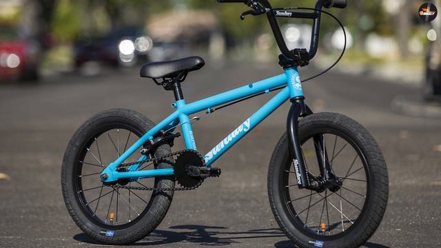 Cruiser Bikes Vs BMX Bikes | Understanding the Differences! [2024] смотреть онлайн