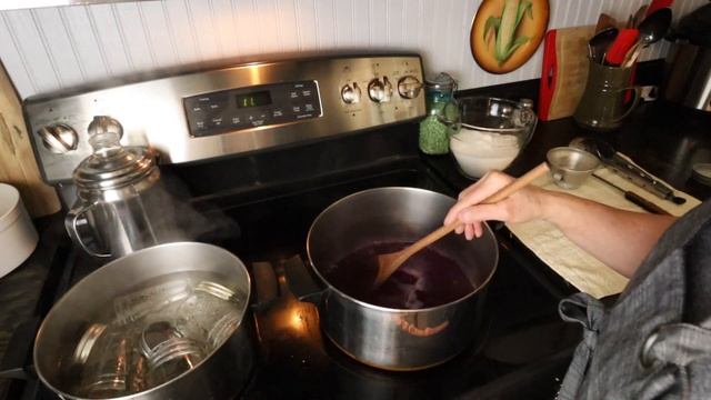 Using Violets in Appalachia - Medicinally, Roosters, and Jelly смотреть онлайн