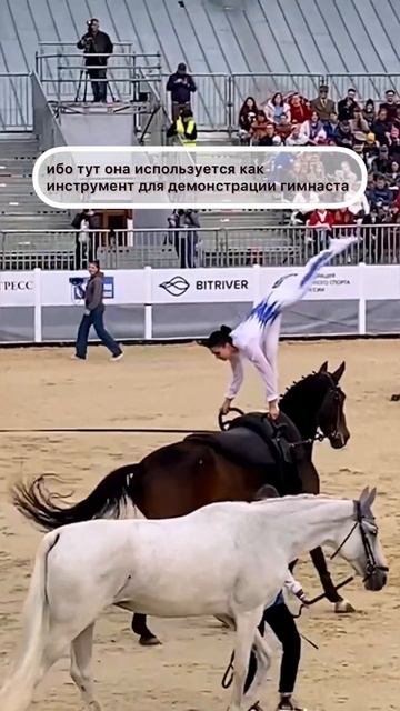 Конные дисциплины: вольтижировка #лошади смотреть онлайн