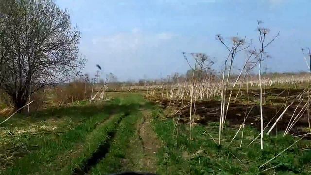 Борьба с борщевиком смотреть онлайн