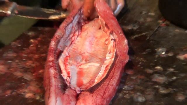 🔪 Разделка рыбы на балык и тешу. смотреть онлайн