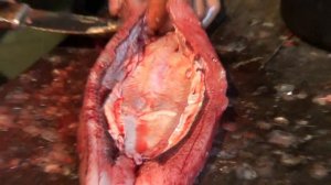 🔪 Разделка рыбы на балык и тешу.