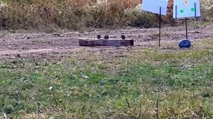 Toz 8 .22 LR