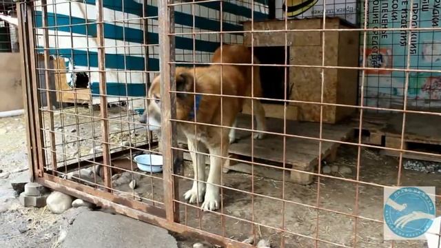 Еженедельник Фонда от 8 Марта 2015 смотреть онлайн