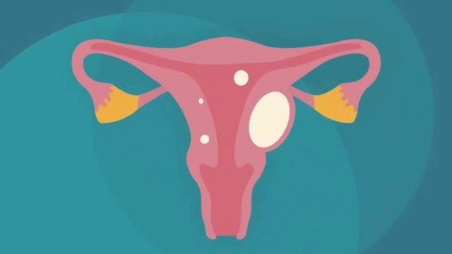 || SILENT PERIOD || OVULATION MORPHIC FIELD смотреть онлайн