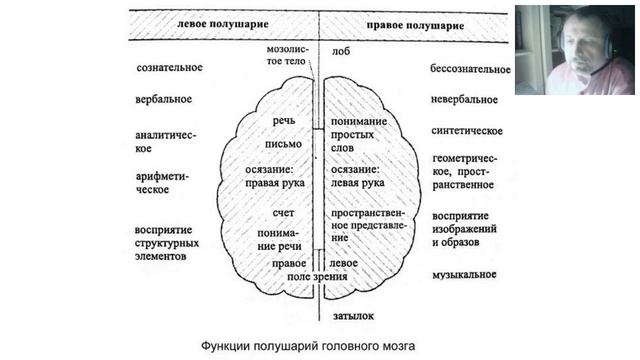 Бесплатный вебинар по активации полушарий головного мозга для женщин 4 марта 2017 года смотреть онлайн