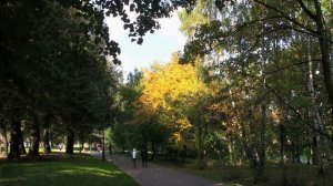 До свидания,лето  Сергей Литвяков Муз.А.Зацепин Ст.Л.Дербенёв Премьера клипа 2022