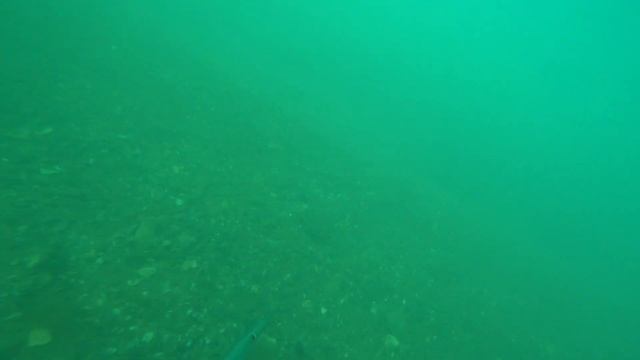 ПО + Охота за креветками. смотреть онлайн