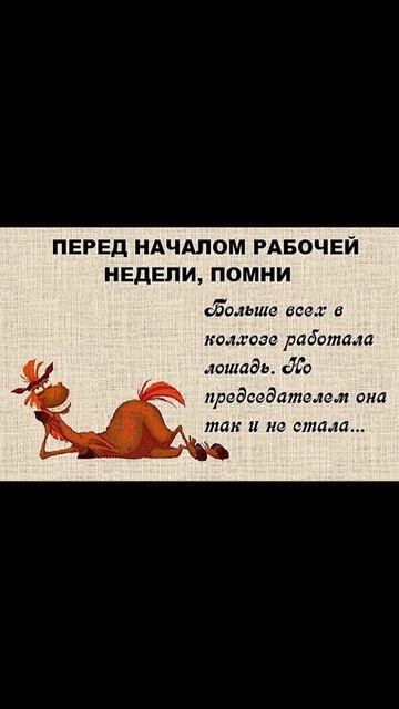 ПЕРЕД НАЧАЛОМ #КАРАГАНДА #КАРАКОЛ #ЖЕЗКАЗГАН #ТОМСК #МОСКВА #ВОРОНЕЖ смотреть онлайн