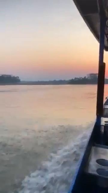 6 weeks in Peru - Dawn on the Tambopata River смотреть онлайн