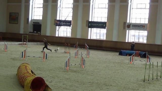 24 02Суханова папийон джампинг смотреть онлайн