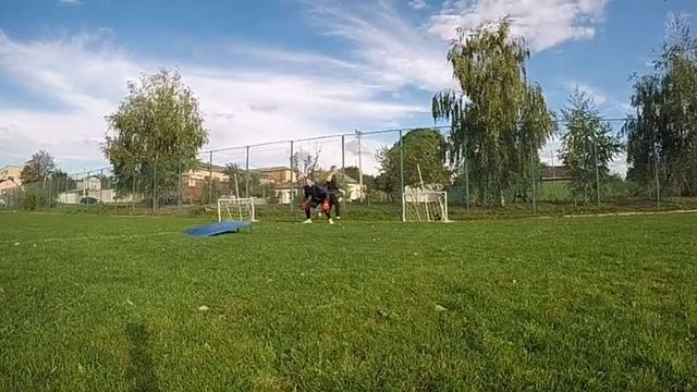 Diving & Reaction 🧤 смотреть онлайн