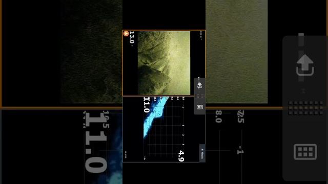 Active Target 2.
Zoom. смотреть онлайн