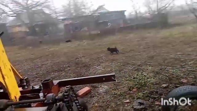 Саморобна сівалка. Опис смотреть онлайн