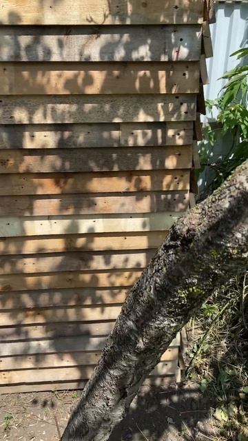 Подсобка смотреть онлайн