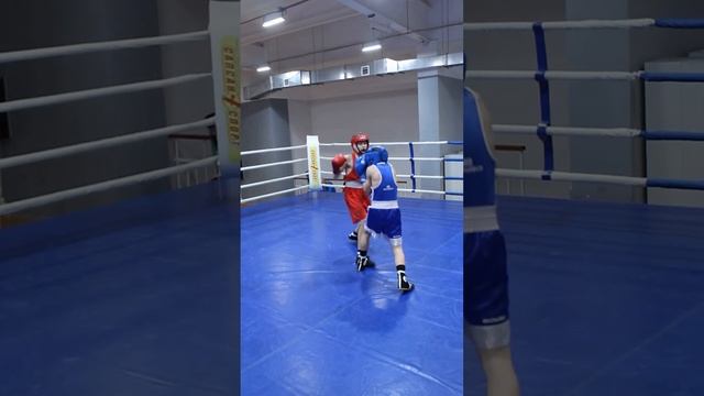 Бокс. Юниоры. Менделеевск 2024 смотреть онлайн