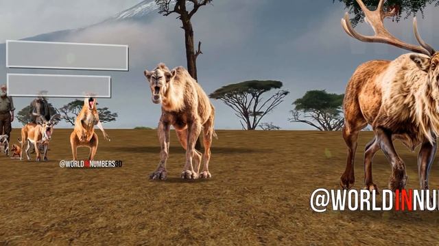 If Herbivores Animals were Carnivores | Rhino, Giraffe, Horse смотреть онлайн