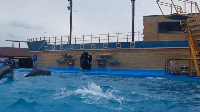 Приветствие Морского Льва смотреть онлайн