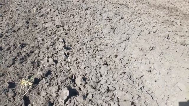 Все таки каткую оранку. смотреть онлайн