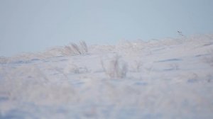 Поздравление с Днем Рождения духовному отцу #Табынскийскит