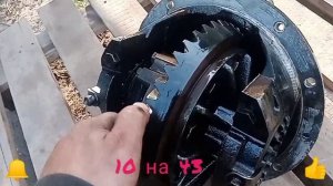 Замена редуктора заднего моста Газель бизнес, Cummins, Next,