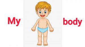 УЧИМ ЧАСТИ ТЕЛА  НА АНГЛИЙСКОМ ЯЗЫКЕ  для детей - слова, развивающие мультики для малышей карточки.