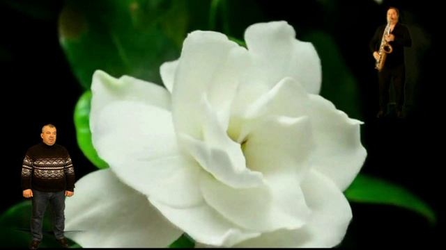 Поздравление с 8 марта