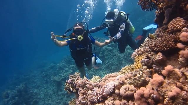 Первое погружение в Красное море смотреть онлайн