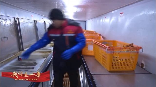 Грузооборот пункта пропуска Дуннин за 2023 год составил 383 тыс тонн смотреть онлайн