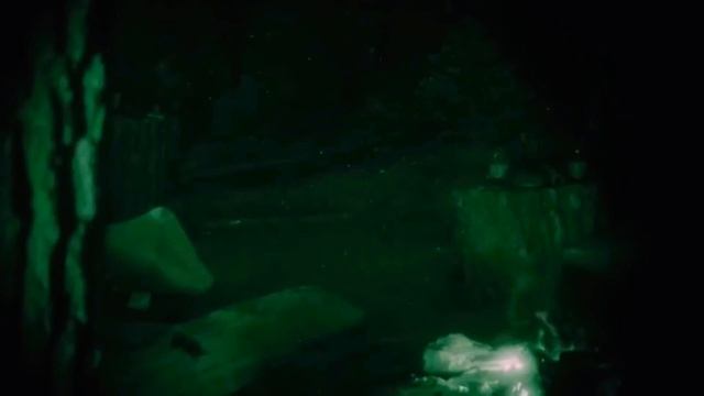 Голоса в лесу (voice forest) крики смотреть онлайн