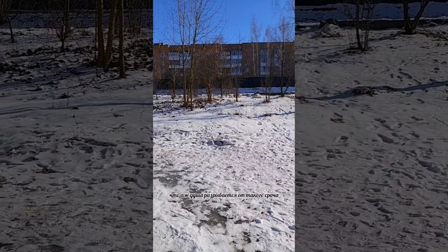 ЧТО ДАЛЬШЕ БУДЕТ❓ТОВАРКОВО Калужская область. смотреть онлайн