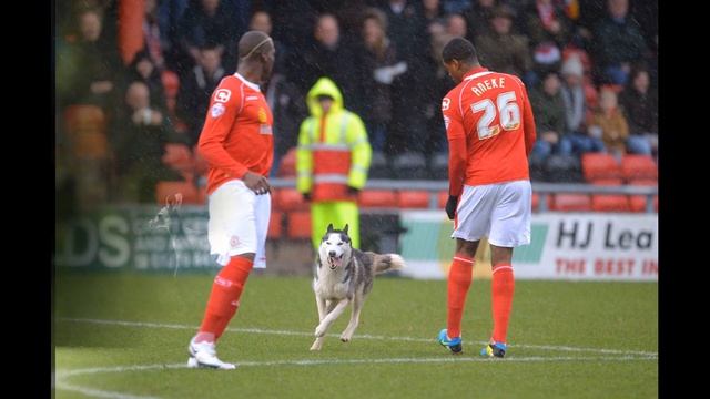Мгновения спорта #012 смотреть онлайн