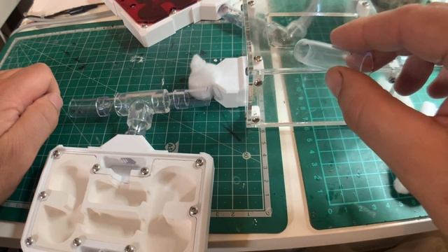 Introduction/Care video into my Parasitic Strongylognathus Testaceus and Host Tetramorium Caespitum смотреть онлайн