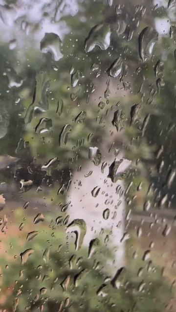 Потихоньку наступает осень. Сухие листья в парке. Долгожданный дождь и прохлада. смотреть онлайн