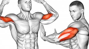 Тренировка бицепсов и трицепсов. Оборудование не требуется.