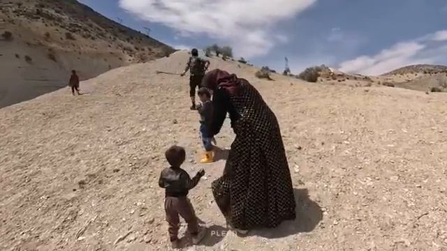 11.04.2024 Хорошие новости Овцы Матери-одиночки благополучно возвращаются домой! смотреть онлайн