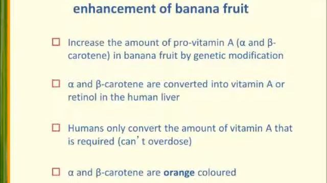 2013 QUT Grand Challenge Lecture - The World Is Getting Hungrier - J Dale
