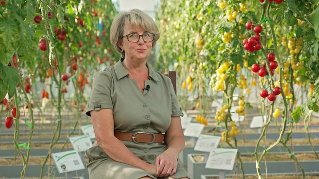 Агротехника, 1 серия смотреть онлайн