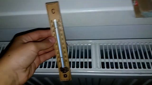 Solenopsis fugax #01 смотреть онлайн