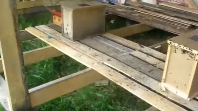 открываем летки в пакетах смотреть онлайн