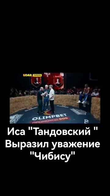 Сколько он гладиаторских боев провел |он не испугался точно| #shorts смотреть онлайн